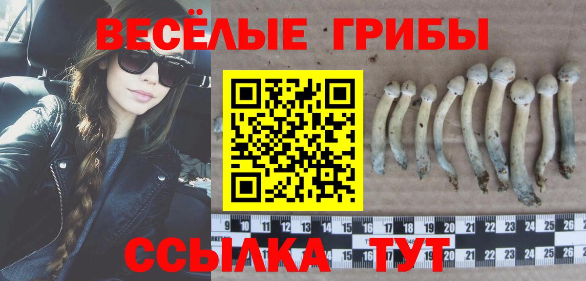 Псилоцибиновые грибы Magic Shrooms  Псилоцибиновые грибы прущие грибы  Северобайкальск  Вход с VPN 