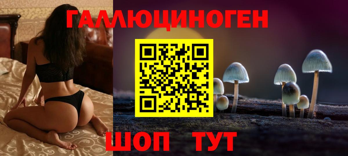 Псилоцибиновые грибы Magic Shrooms Северобайкальск