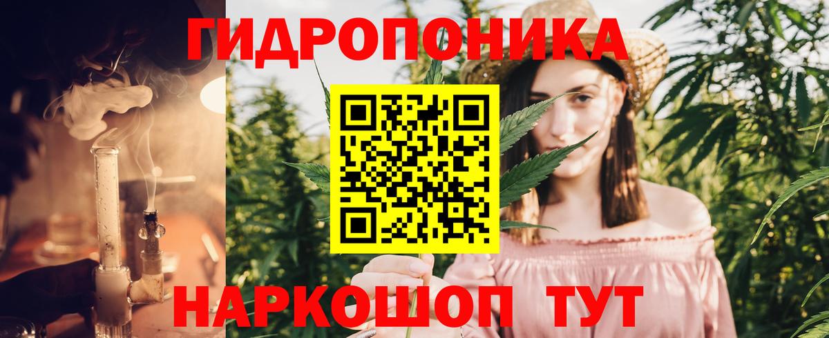 Северобайкальск  Шишки марихуана конопля  Вход с VPN  Конопля семена  МАРИХУАНА индика 